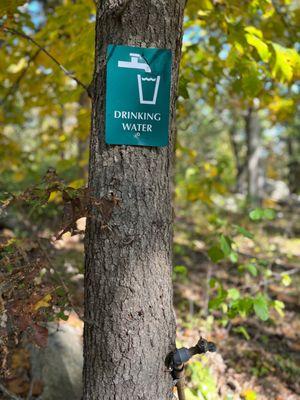 Fresh water available throughout the campground.