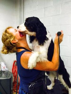 Bark Palace Doggie Daycare & Kennel