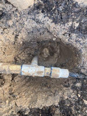 Alpha Innovations Construction & Remodeling