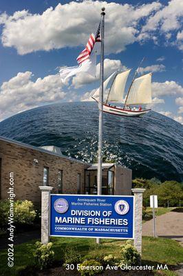 Tell all the truth but tell it slant.
--Emily Dickinson