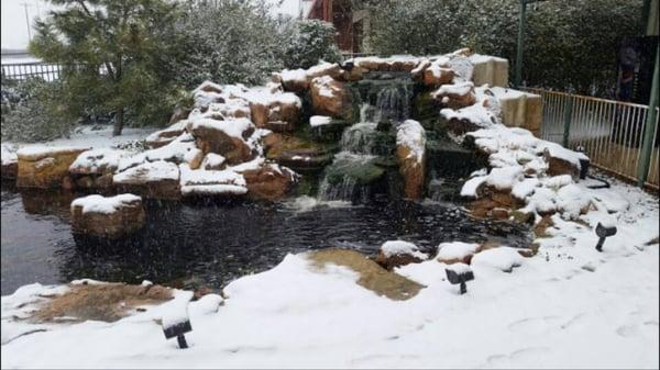 Display Pond after it snowed