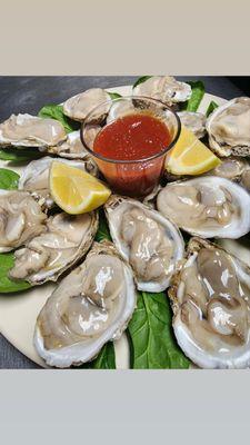 fresh oysters on half shell