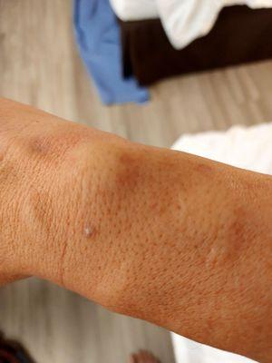 Super 8 by Wyndham San Bruno /SF Intl Arpt West