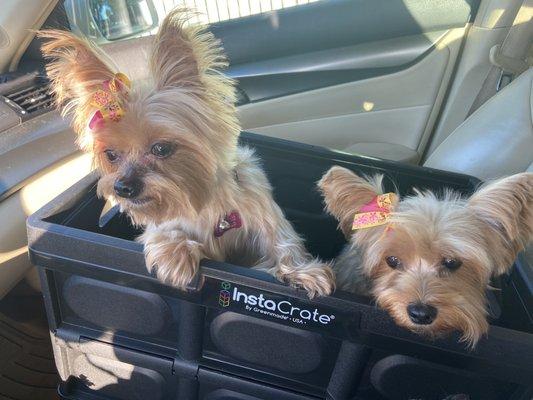 San Gabriel Pet Center