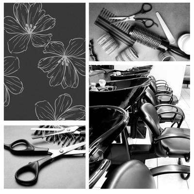 The Salon at Buena Vista