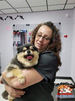 Pawsitively Purrfect Grooming & Boarding