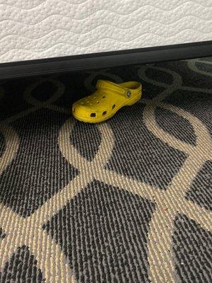 Someone's random shoe.