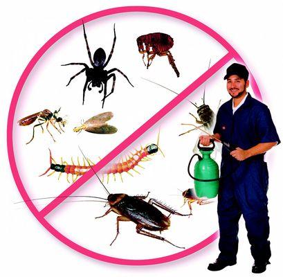 ACME Pest Management