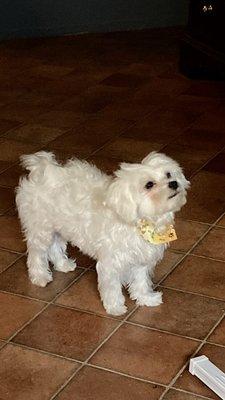 Crosby Pet Center