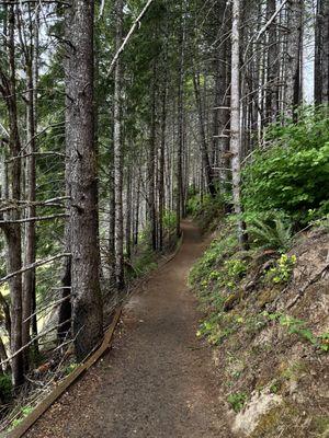 Terwilliger Hot Springs