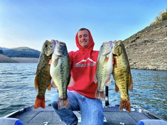 Shasta Bass Baits