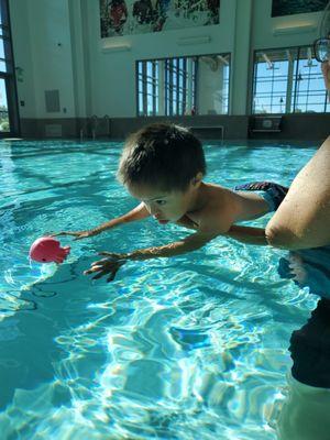 SNAP with Stepping Stones