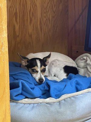 Lamorinda Dental Office