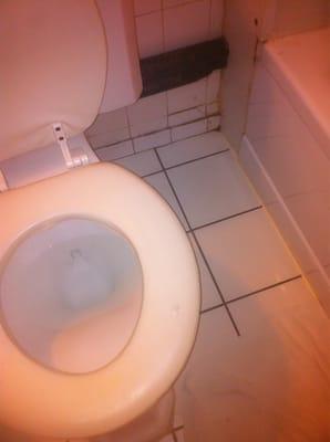 Can't believe we settled, just cause we were tired!