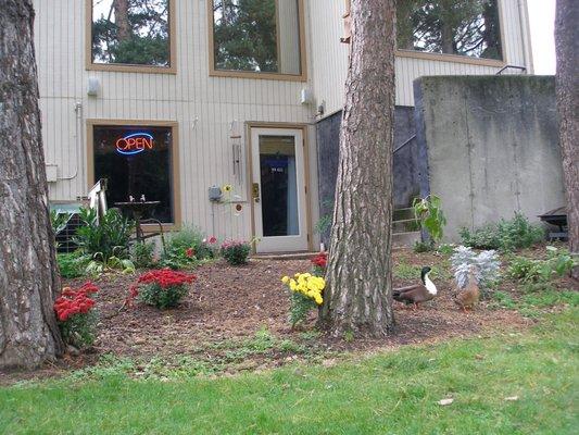 Peaceful office on Horseshoe lake