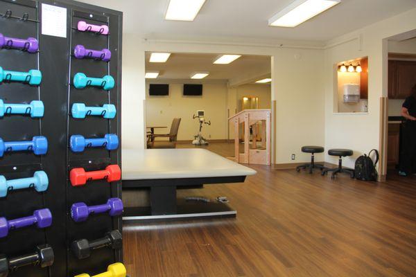 The Mosaic of Springfield