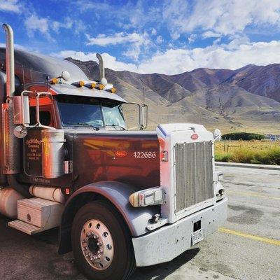 Schrader Marshall Accounting