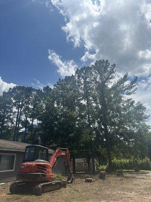 Carolina Tree & Construction