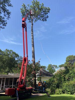 Platform lift basket