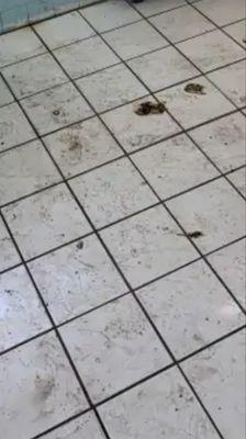 Lakeland Rehabilitation & Health Care Center