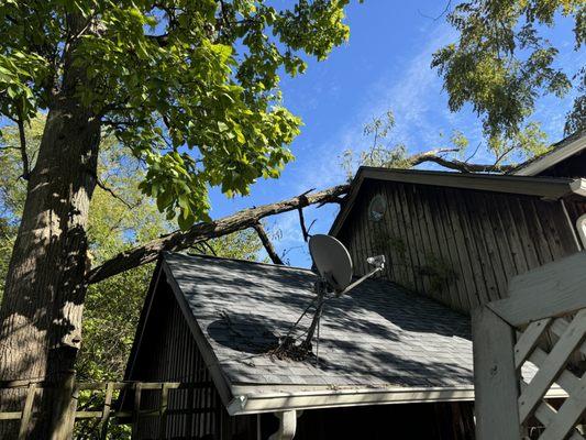 Fred & Son's Hauling & Tree Removal