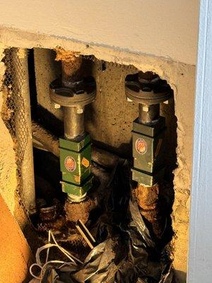 steam expansion joints