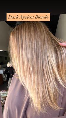 Dark Apricot Blonde
