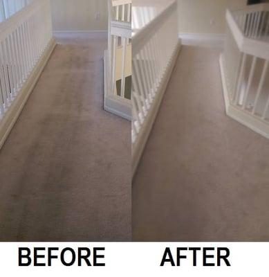 South Coast Carpet Cleaning