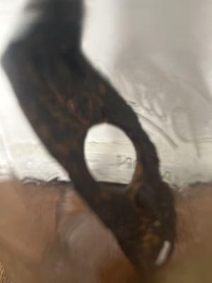 The Union Drummer Boy