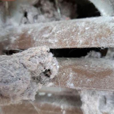 Fire Safety Starts with You!
Chimney sweep isn't the only annual service your home needs for fire prevention. Schedule your Dryer Vent