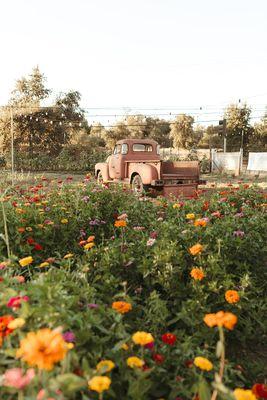 Flower Farm Gift Shop