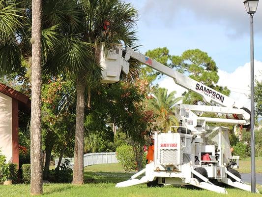 Sampson Tree Service