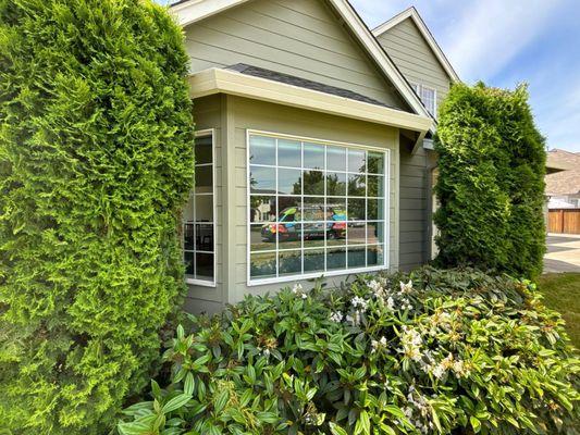 All Seasons Cleaning Services