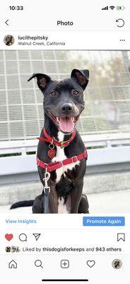 Robert I Schroder Bridge