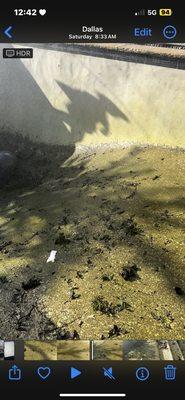 Golden Standard Pressure Washing