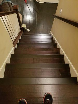 Cardinal Carpet Care