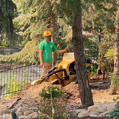 Stump Removal Northwest