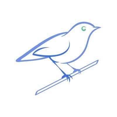 Bluebird Accounting & Tax Inc