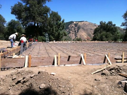 Deprizio Development