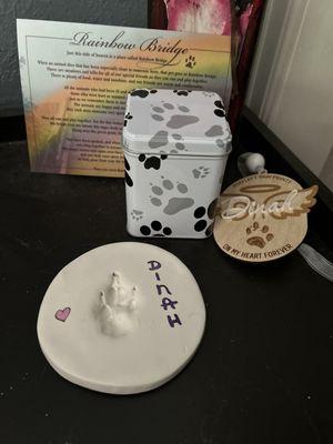 The Cat Clinic