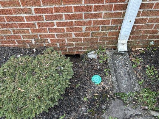 Hamilton Arms Apartments