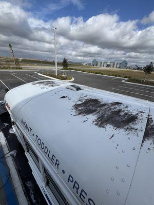 Elite Car Detail And Paint Correction