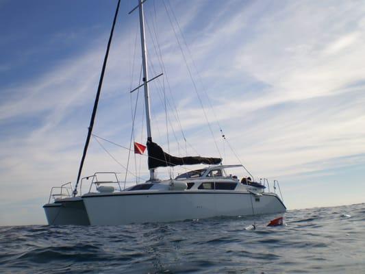 Mike's Sailing Charters