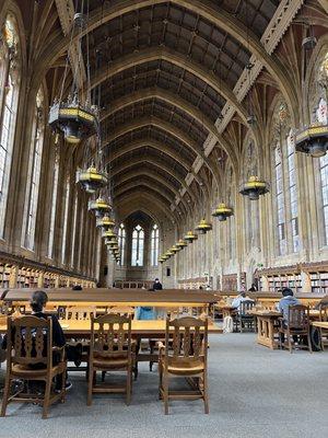 Students study in the library