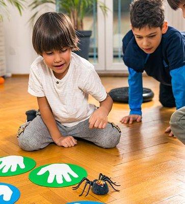 Little Harmony Learning Academy.