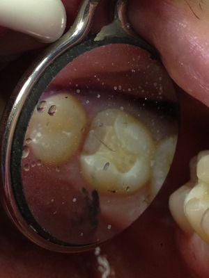 Fashion District Dental