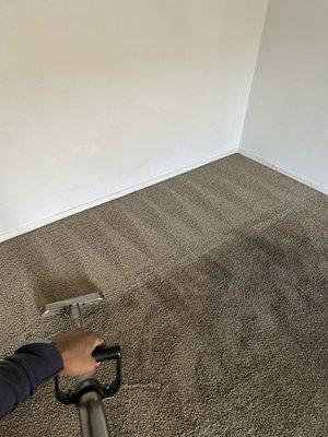 Cleaning Carpet Santos