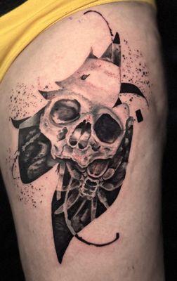 Abstract Realism Skull and tarantula