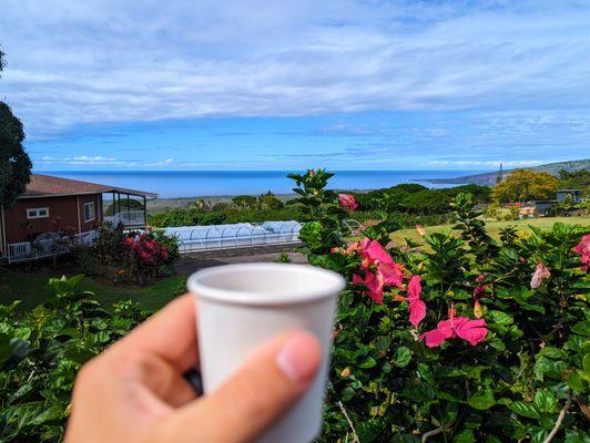 Coffee with a View