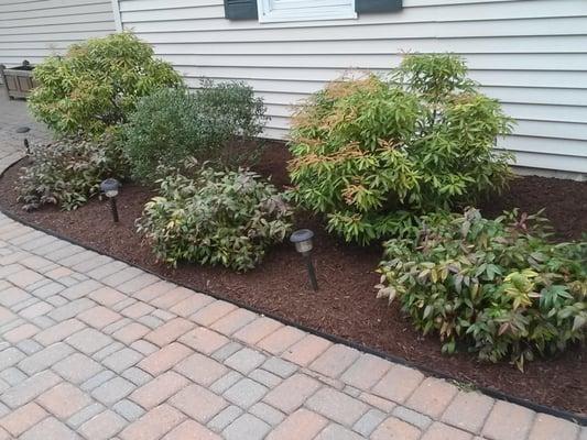 new mulch installed